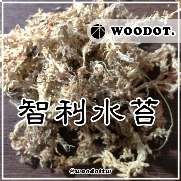 【智利水苔】