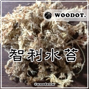 【智利水苔】