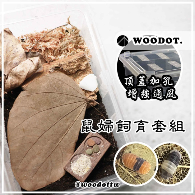 【鼠婦飼育盒套組】