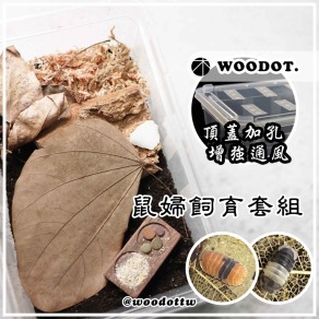 【鼠婦飼育盒套組】