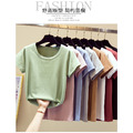 夏裝新款大圓領純棉短袖T恤女