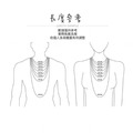 伸縮款 項鍊繩｜鵝白色_1