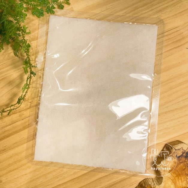 CO2甘斯大貼布