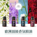 歐洲頂級香氛精油 10ml 小資三入組 (30款香味)_1