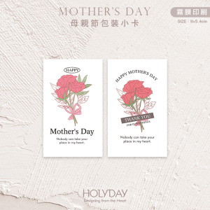 包裝良伴！MDC02母親節包裝小卡 ꕤ 康乃馨禮物小卡．禮品小卡．祝福小卡．送禮小卡．禮物包裝．萬用留言卡片┊HOLYDAY
