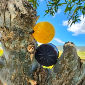 任選4入免運【SAVUN】 家事釀製皂--檸檬、咖啡 (80gx4) 兩款可選