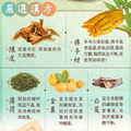 【隨身包】漢方佛手潤氣柑(60g)_7