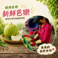 低糖芭樂乾(150g)_2