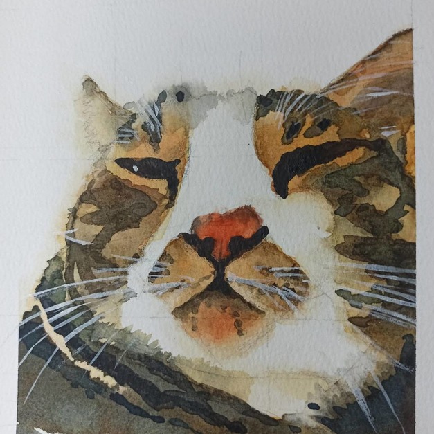 手繪系列 x 客製化5B無框畫｜可愛寵物 水彩速寫動