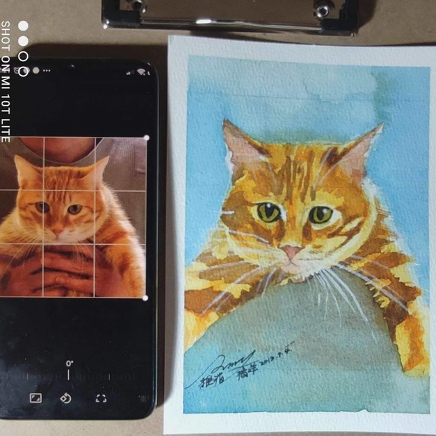 手繪系列 x 客製化16開無框畫｜可愛寵物 