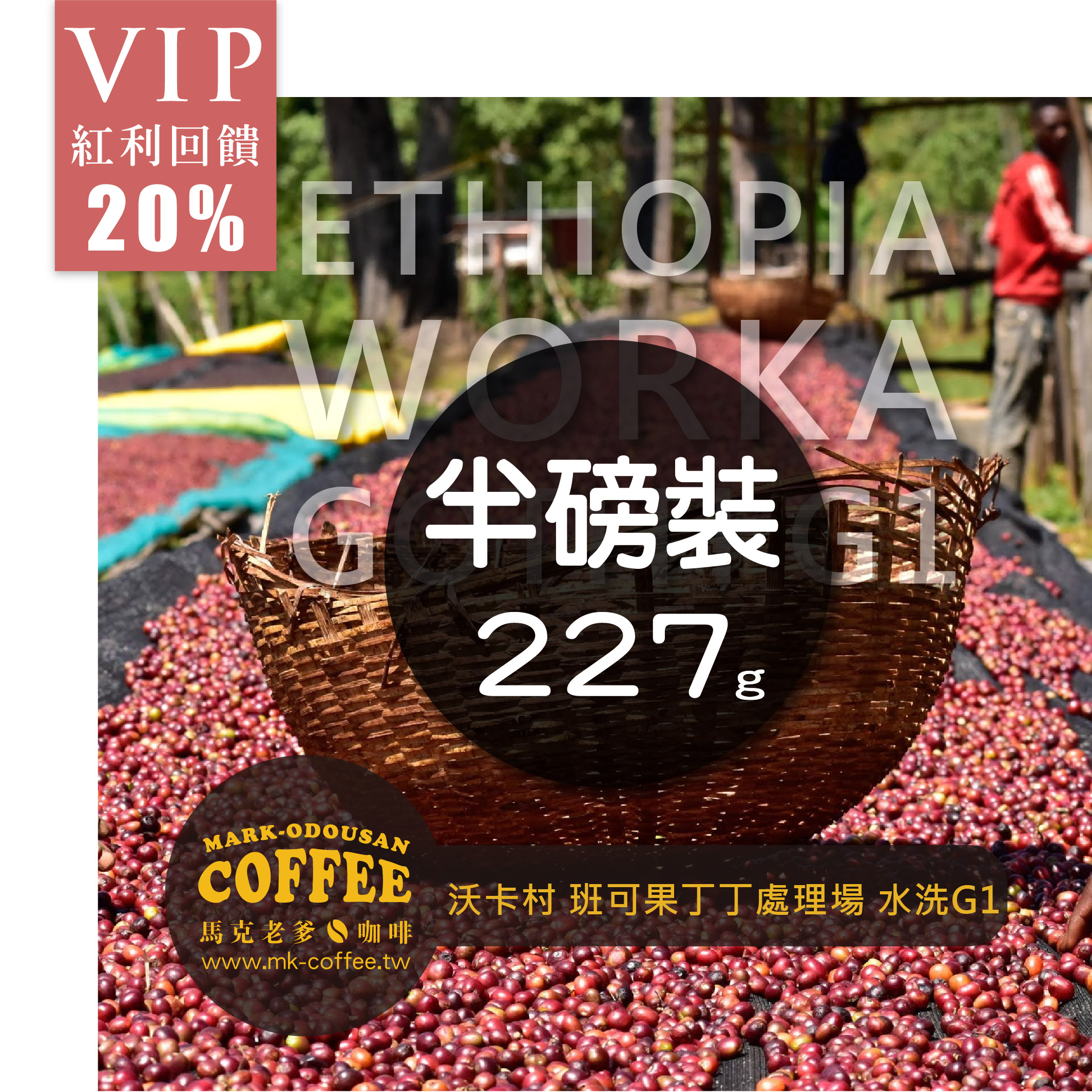 衣索比亞潔蒂普鎮沃卡村班可果丁丁處理場水洗G1咖啡豆(半磅227g)