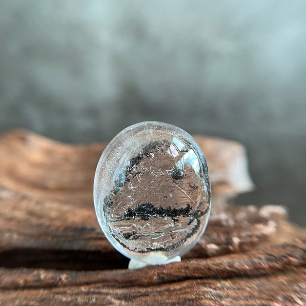 小恐龍 流沙水膽