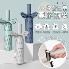 12骨全自動黑膠雨傘
