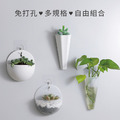 牆壁懸掛插花瓶_3