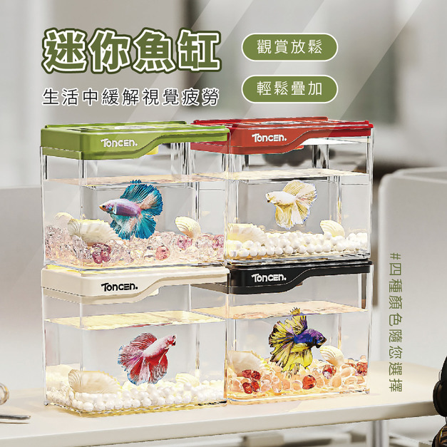 桌上迷你魚缸