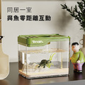 桌上迷你魚缸_7