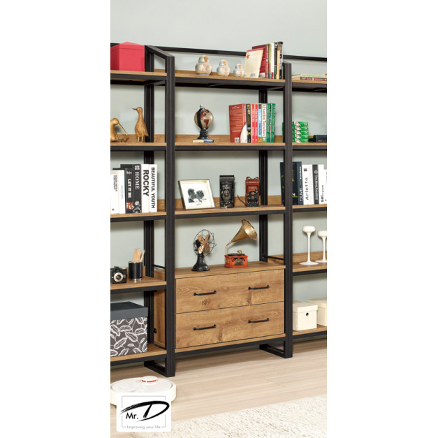 C4140 1618-2 布朗克斯2.7尺二抽書櫃