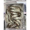 生凍白蝦(16/20) -550g #特大