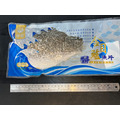 金目鱸魚清肉片 300-400g_1