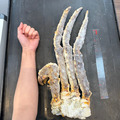 巨無霸生凍帝王蟹腳5L(約2000g)_4