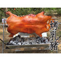 烤乳豬-中秋必買!! 附烤架 (5-6斤)_1