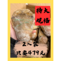 特大蝦蛄 每隻250-300g #每包2入 #數量稀少 #肉質媲美龍蝦肉