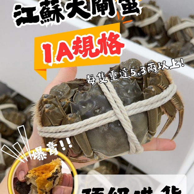 【1A規格】 江蘇活體大閘蟹  #免運費 #五入 #頂級港貨 #爆膏