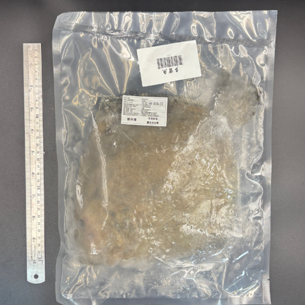 多寶魚 (700-800g) #刺少肉多