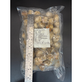 冷凍帆立貝80/100 (500g)_1
