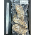 日本生食級帶殼生蠔-3入 【殼薄肉厚】【大規格】