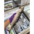 【整隻】挪威鯖魚 - 600G以上 #滿1499免運費 #油脂豐富_1