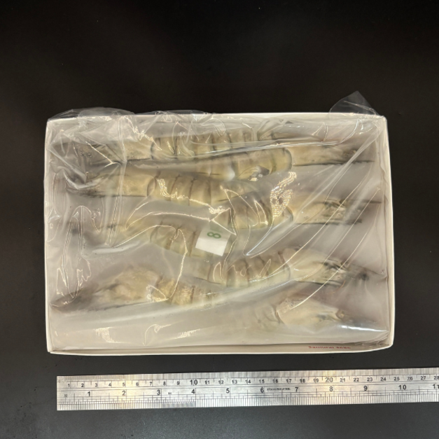 草蝦(8p) -1000g【淨重約400g】