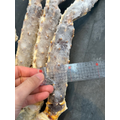 【年菜88折】生凍帝王蟹腳3L -1000g #實重無包冰 #肉質鮮甜_4