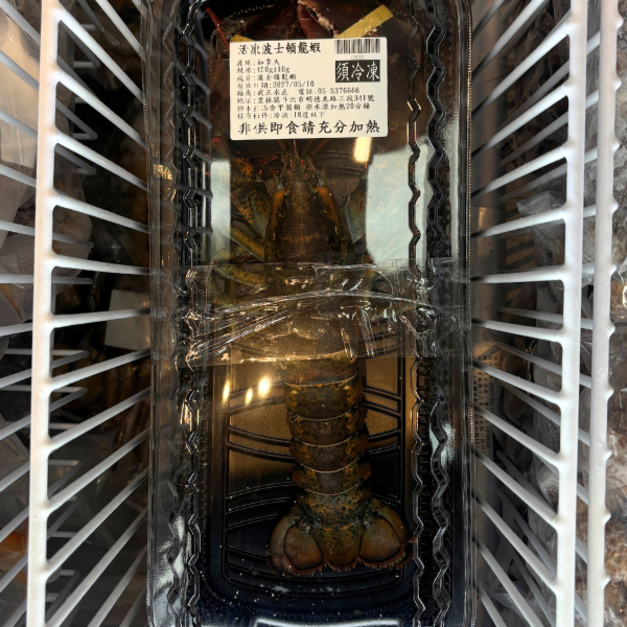 活凍波士頓龍蝦-450g #高級饗宴首選