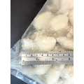 60/80一口小花枝-650g_2