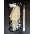 鮮凍花枝-520g_1