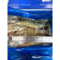 生凍白蝦(21/25) -500g #流水退冰_4
