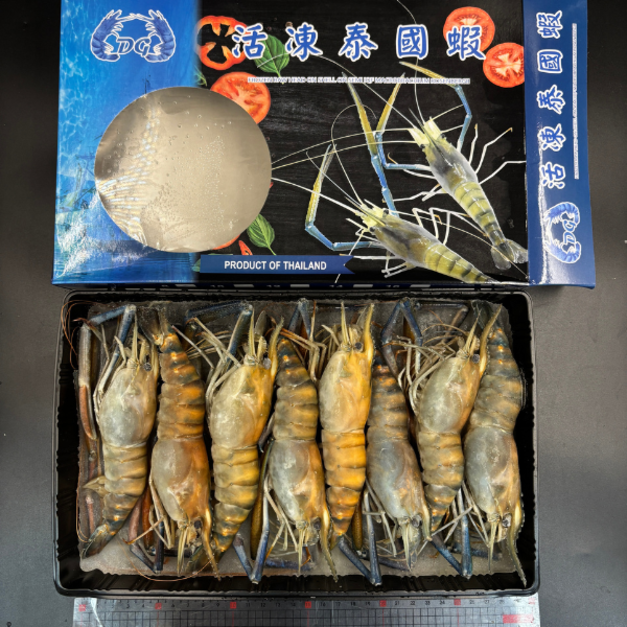 活凍泰國蝦《蝦公》 (8入) -600g