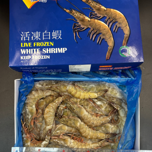  生凍白蝦(41/50) -500g #流水退冰