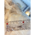 日本生食級干貝M - 1kg (直徑約5.5cm)#送禮首選 #北海道_3