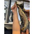 巨無霸手臂蝦 (180g/1隻)