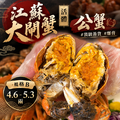 【4.6-5.3兩】 江蘇活體大閘蟹 《公蟹》#單隻販售 #頂級港貨 #爆蛋