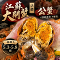 【5.3&ndash;5.8兩】 江蘇活體大閘蟹 《公蟹》#單隻販售 #頂級港貨 #爆蛋