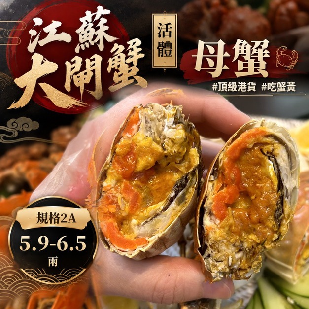 【5.9-6.5兩】 江蘇活體大閘蟹 《母蟹》#單隻販售 #頂級港貨 #爆蛋