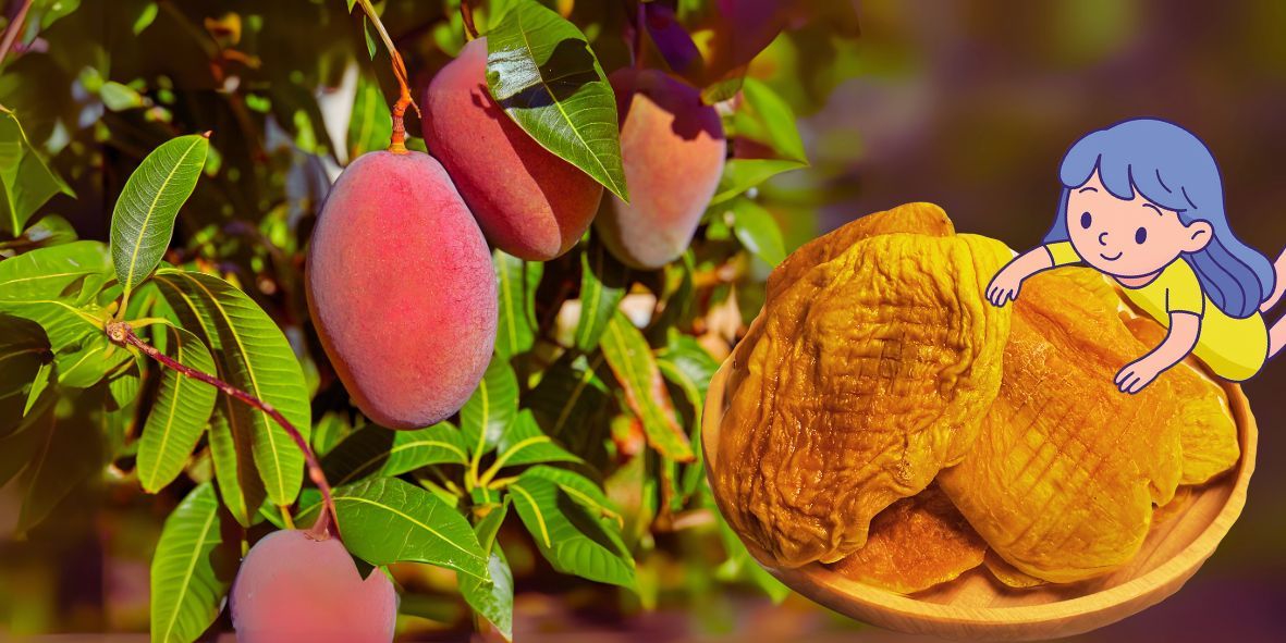 【台灣在地農產】屏東枋寮／台南玉井愛文芒果乾推薦｜天然無添加，好吃！