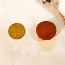 《頂豆手工腰果》台南東山帶殼龍眼乾 50元尺寸