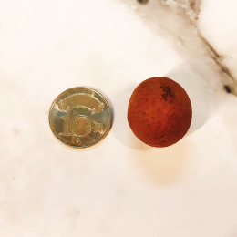 《頂豆手工腰果》台南東山帶殼龍眼乾 10元尺寸