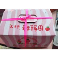【預購｜自然熟成】產地新鮮直送草莓 散裝/禮盒裝｜莓香草莓園_5