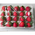【預購｜自然熟成】產地新鮮直送草莓 散裝/禮盒裝｜莓香草莓園_3