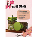 大田社區．自然熟成手作梅 250g/瓶｜酸甜回甘，吃得到梅子果香與大田社區的用心_3